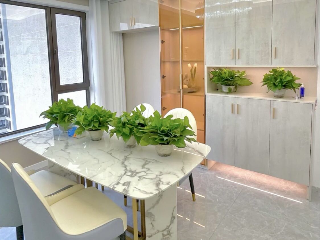 一屋子绿萝除甲醛,金华绿萝除甲醛吗