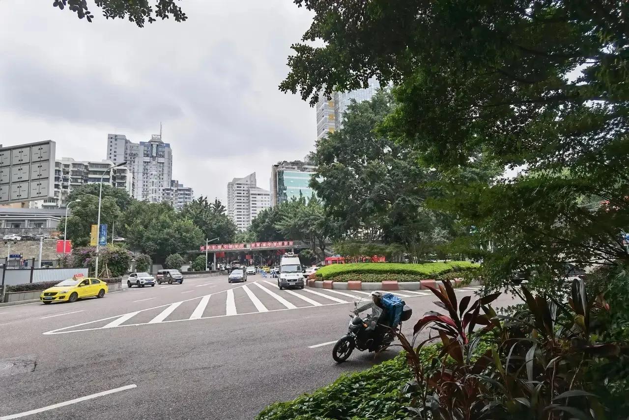 春游开拓眼界,春游樱花广场图片