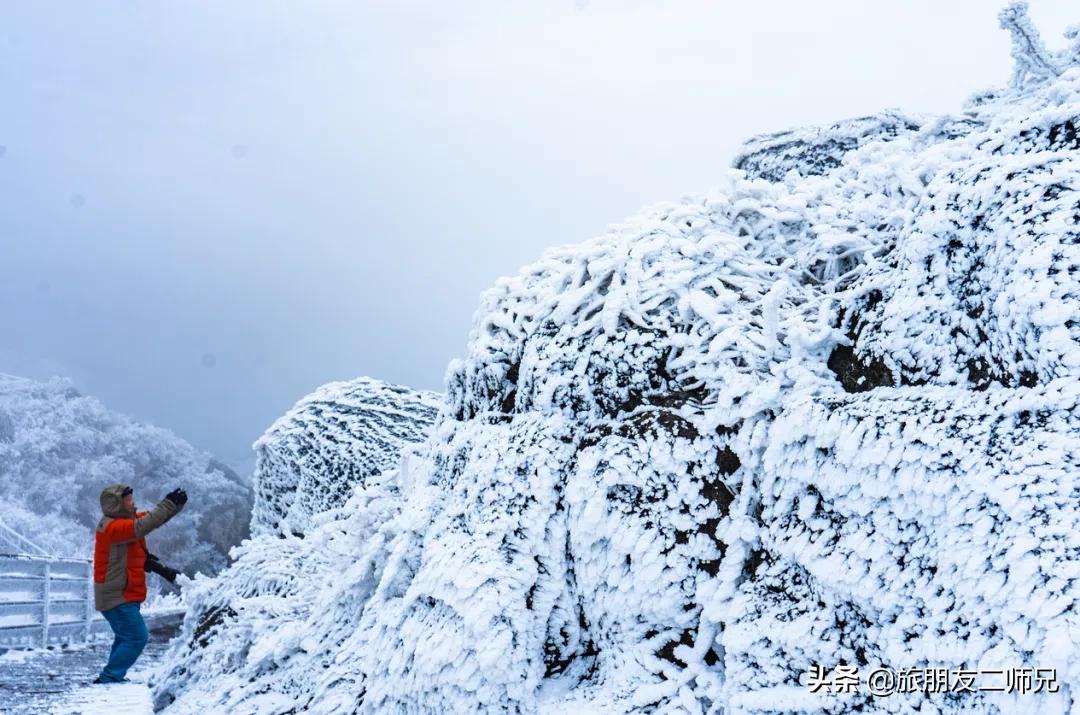 清远金子山旅游攻略看雾凇,广东金子山雪景旅游攻略