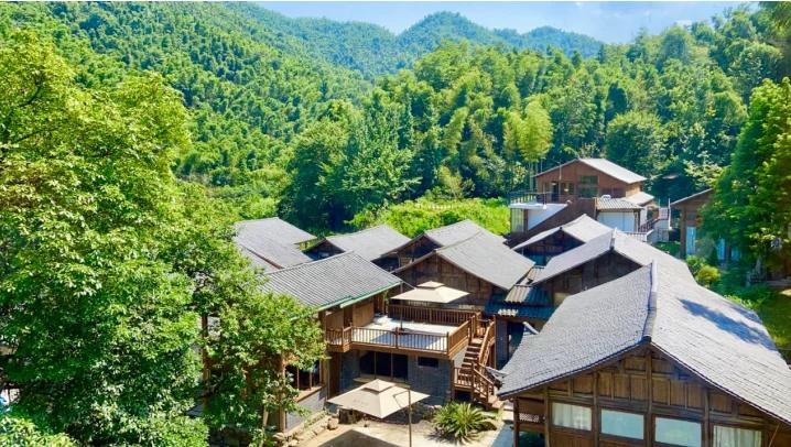 农民合作社助力乡村,助推乡村民宿高质量发展