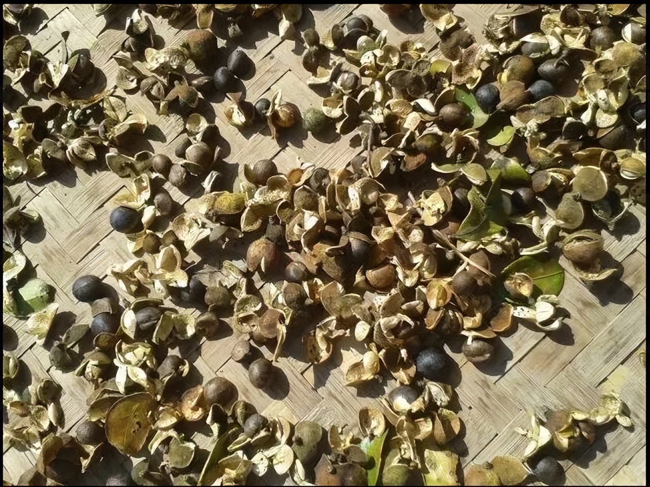 什么是油性漆和水性漆,什么是水性漆什么是油性漆