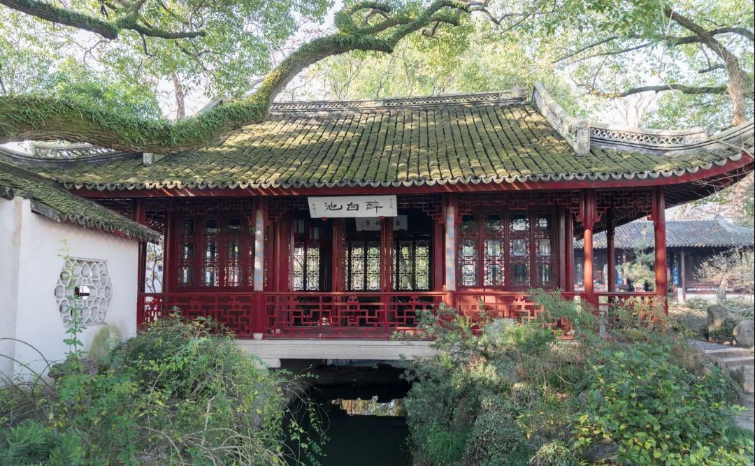 实用全上海532家公园攻略速速收藏,上海攻略必去的公园