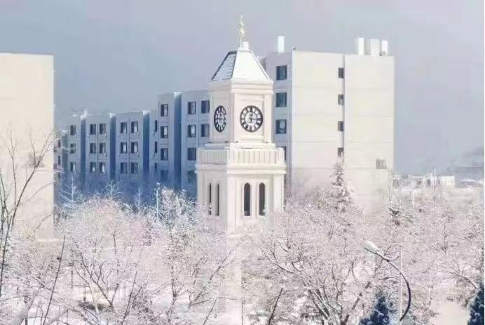 大连外国语大学毕业生就业率,大连外国语大学毕业生发展如何