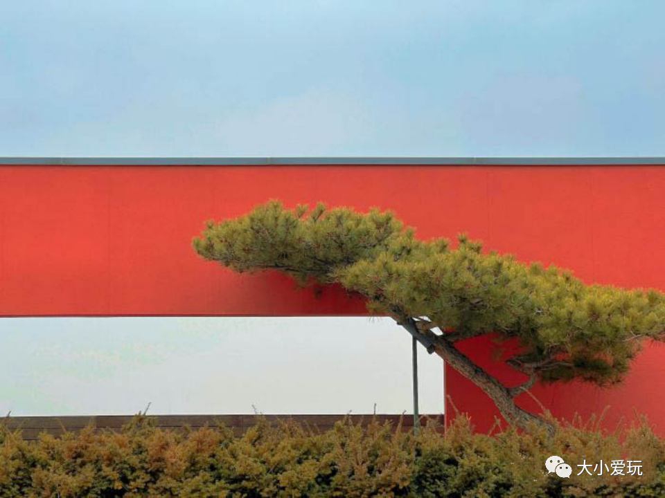 这些好吃好玩又好逛的宝藏市集回归啦！书市/鱼市/小吃夜市……