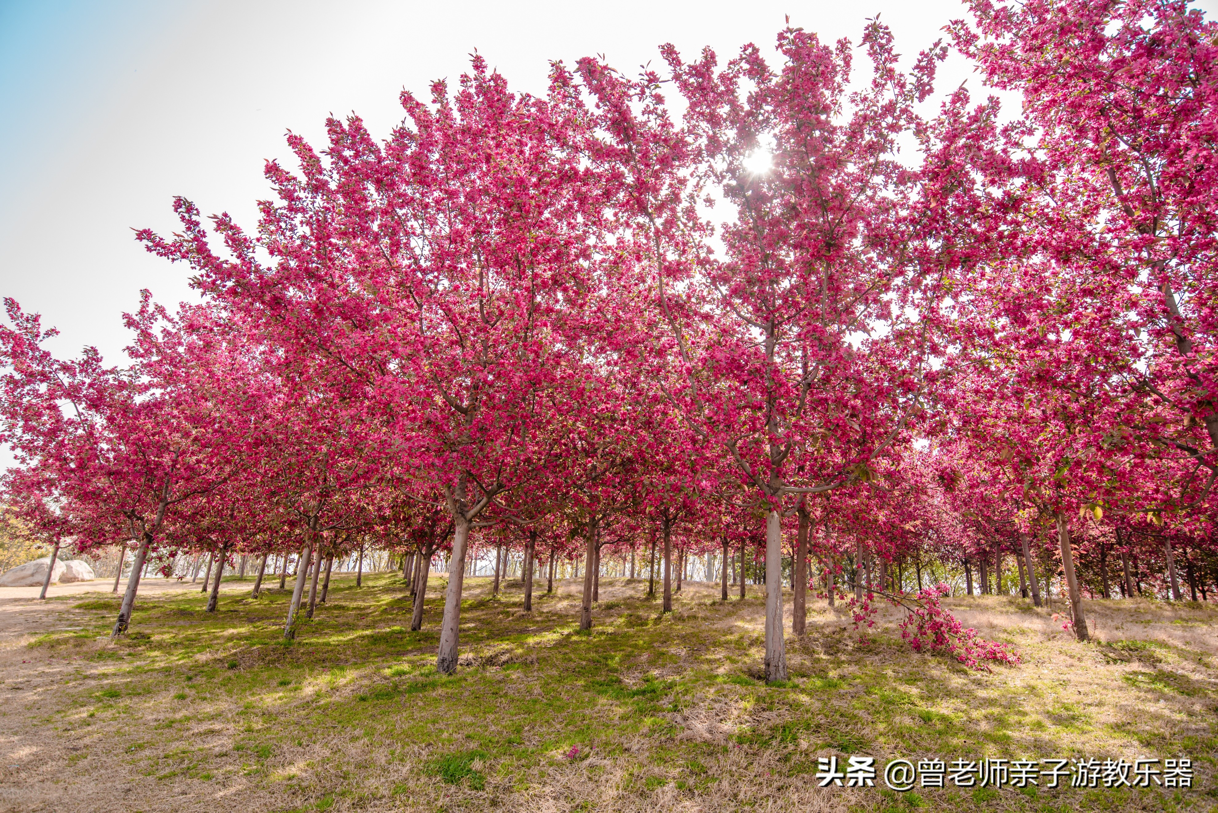 2022西安遛娃一日游的绝佳去处,2022年春节西安遛娃去哪玩最合适