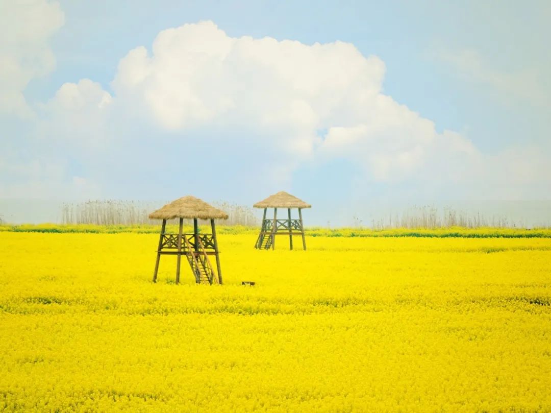 这个生活很慢,美食“泛滥”的小城藏不住了