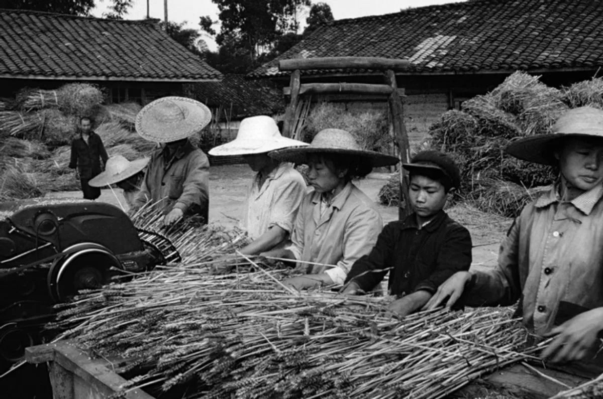 2011年武汉小伙11天捐精5次后离世，父亲要400万赔偿，成功了吗？