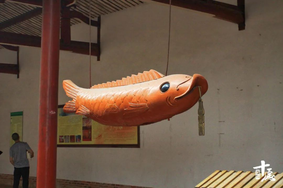 佛弟子如何面对太岁,佛弟子怎么释放情绪