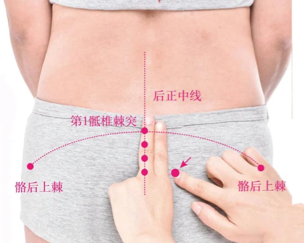 白环俞穴位位置图和作用,每天学一个经络