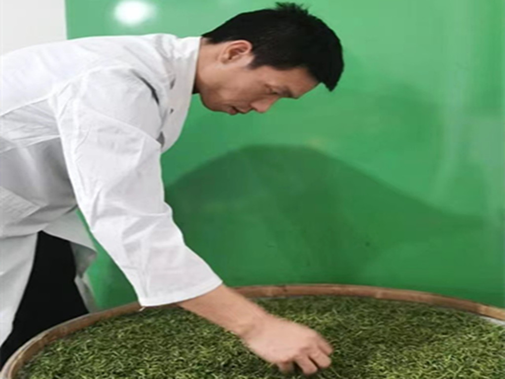 庐山正宗云雾茶,名茶庐山云雾之谜