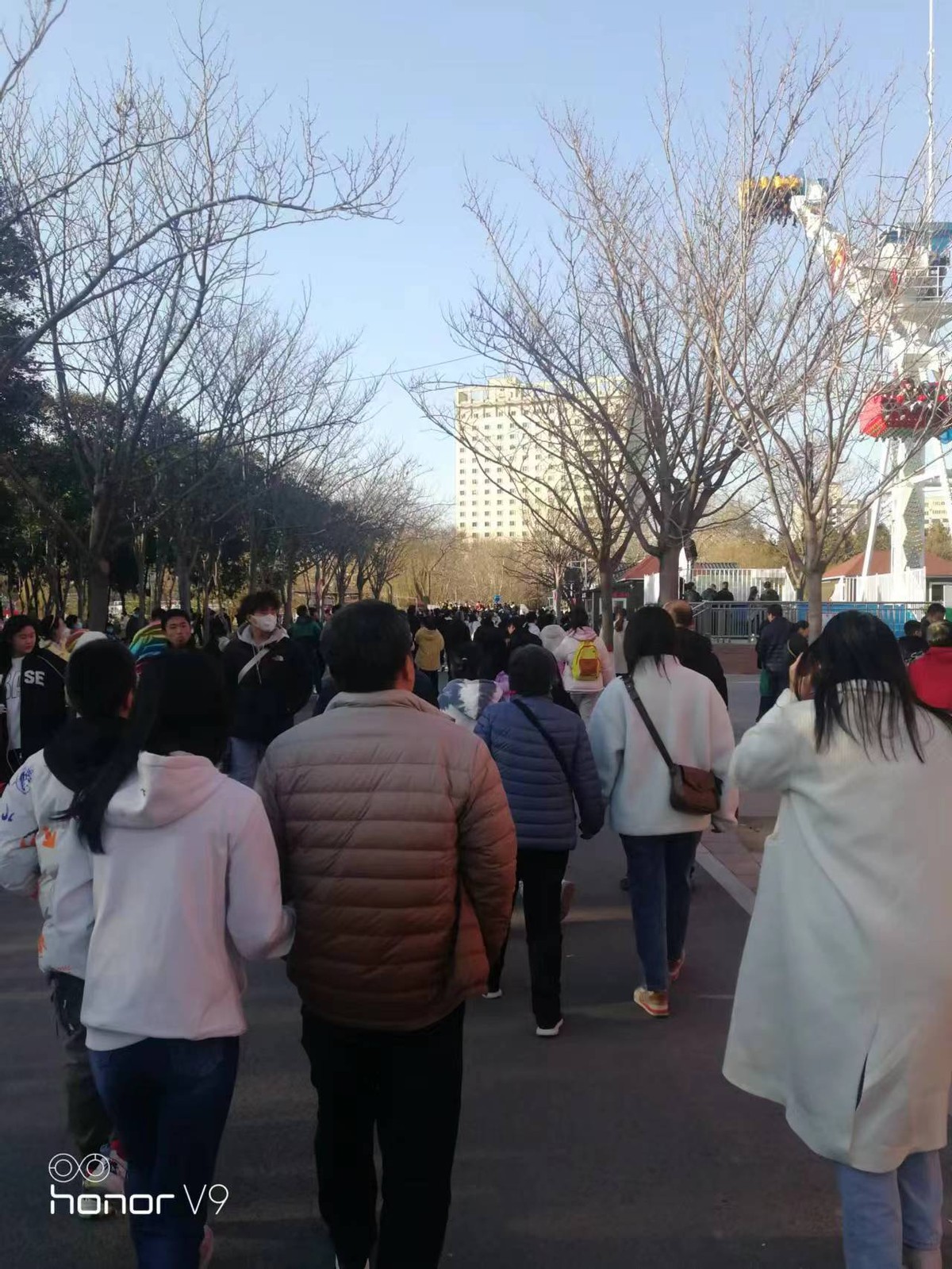 公园游乐设施哪些最挣钱,公园游乐设施赚钱吗