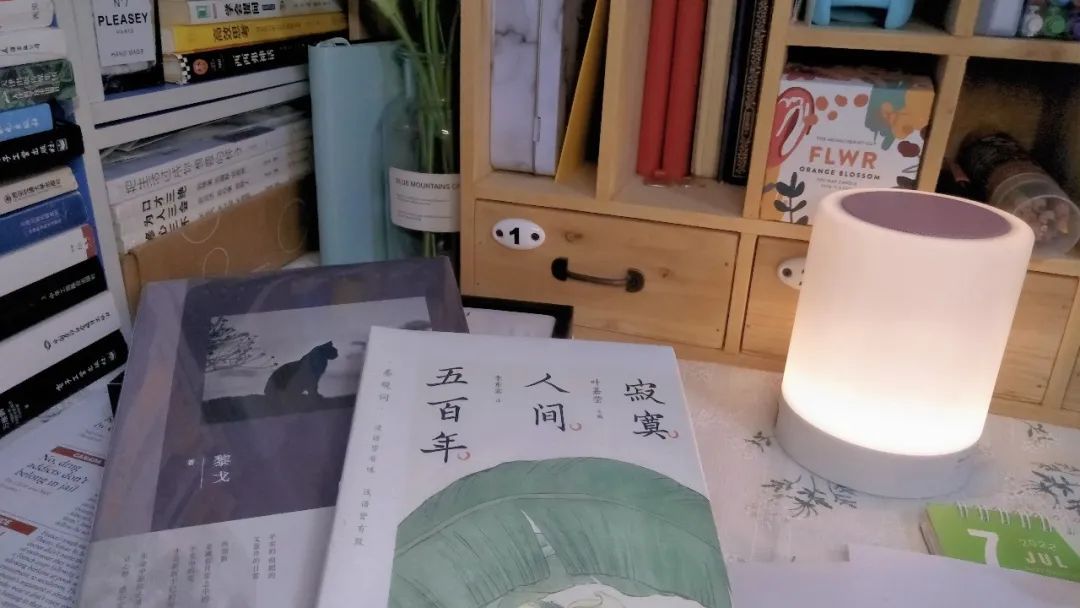 小红书分析哪类产品最赚钱,小红书快速赚钱的9个运营思路