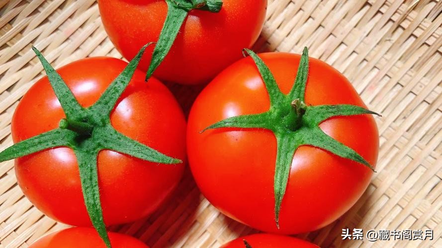 为什么大学教材难理解,为什么大学教材错误这么多