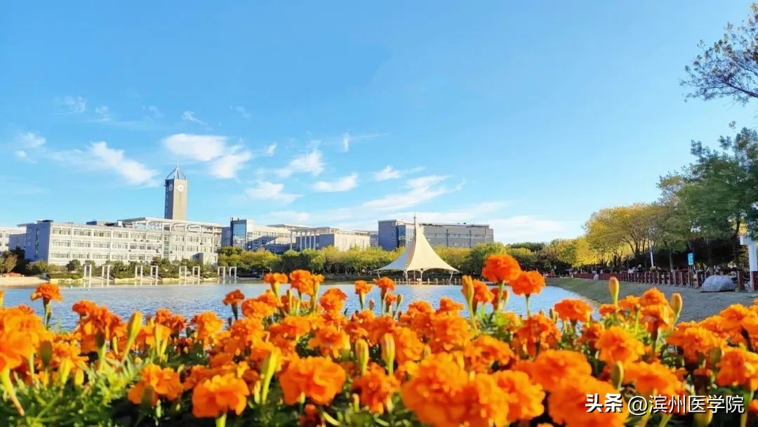 滨州医学院2023年本科招生计划,2020年滨州医学院招生计划一览表