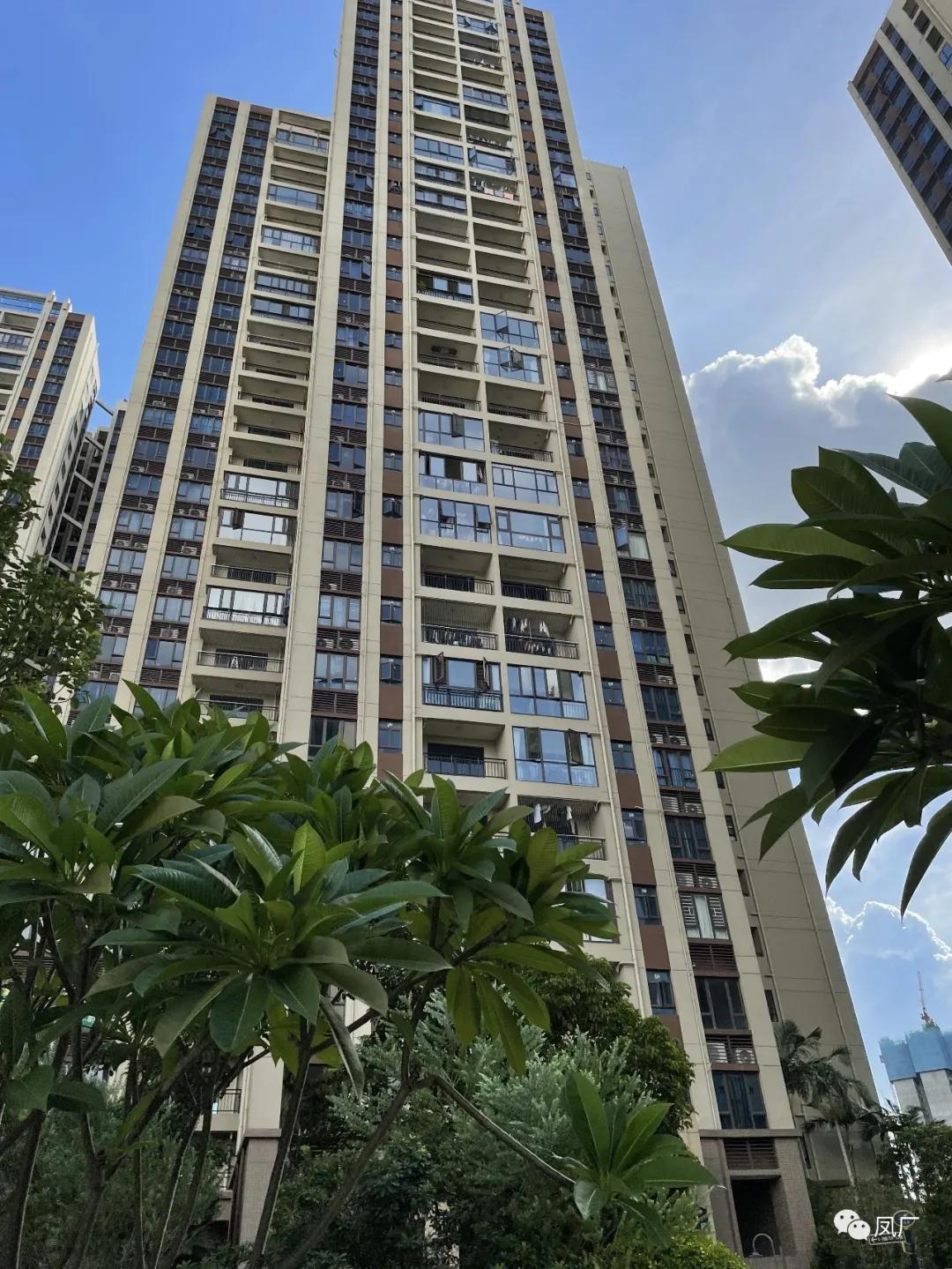 容桂东部：凤凰湾入秋了（多图）