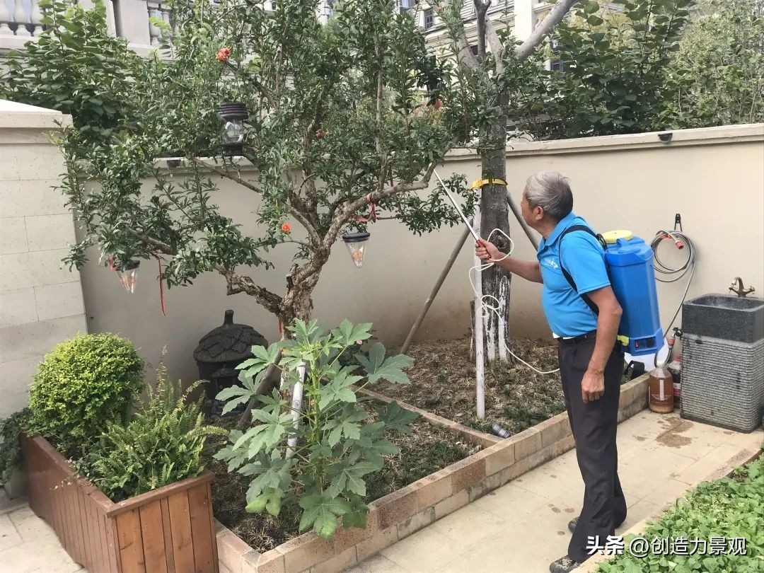 周末回访老客户的文案,回访老客户的主题