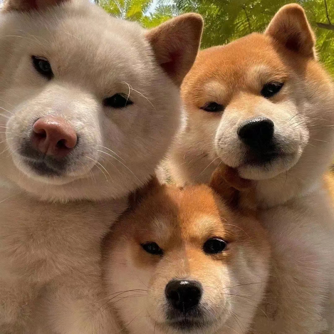 股票开户哪家佣金最好,昆山股票开户哪家券商佣金比较低