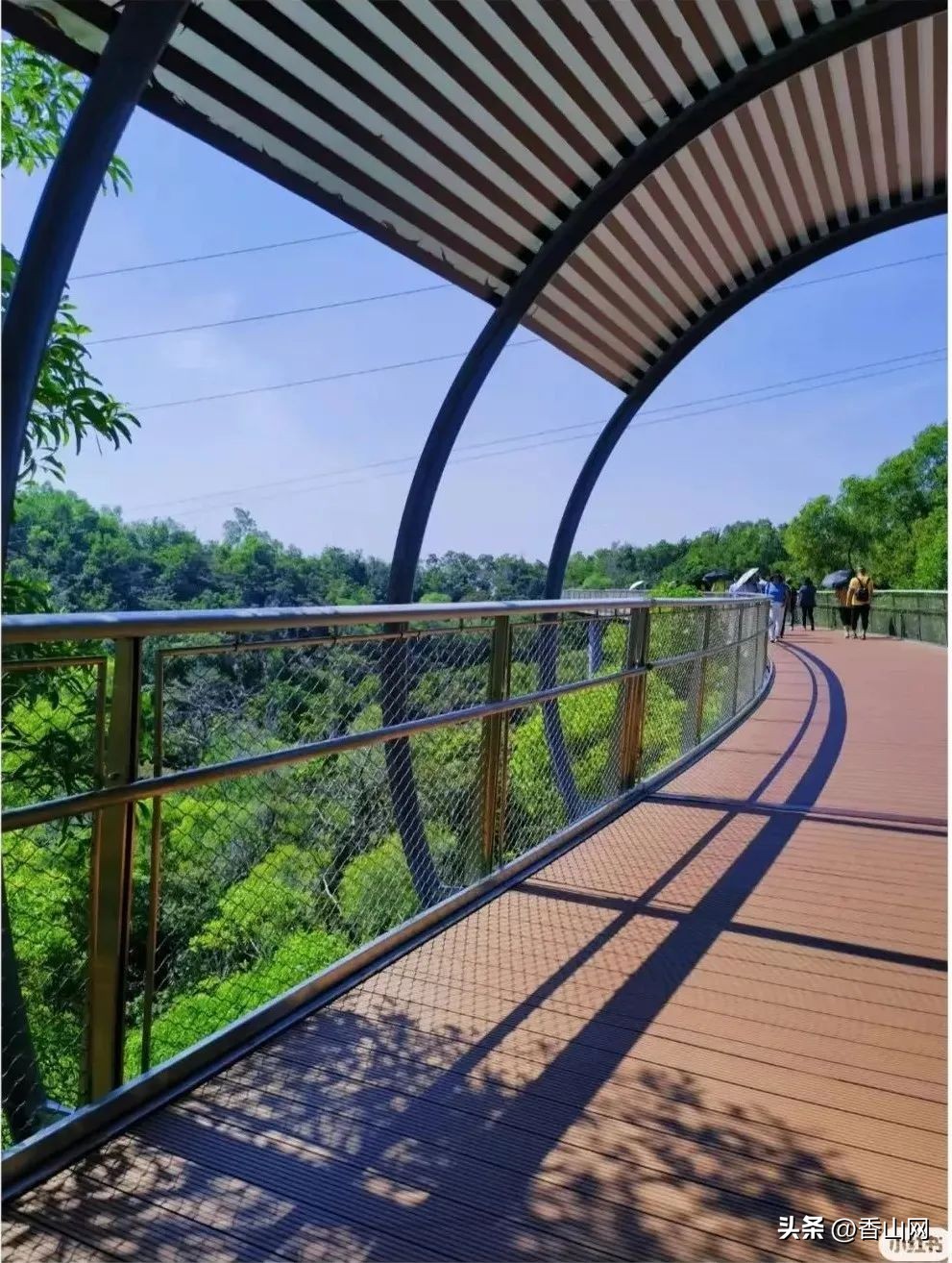 珠海香山湖公园云山栈道一游,珠海香山云道风景太美了