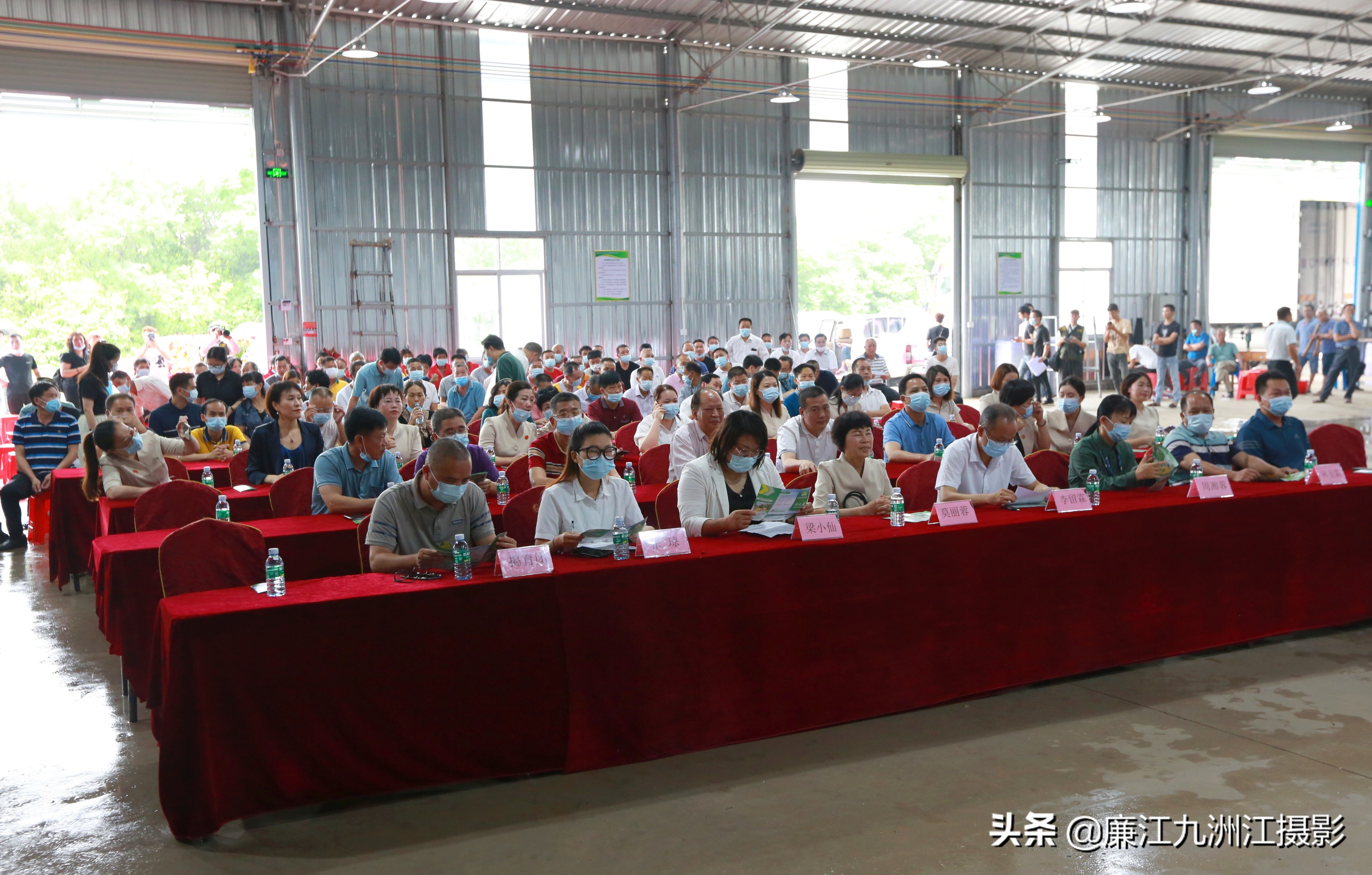 廉江吉水绿之源合作社,廉江市绿之渌分拣中心