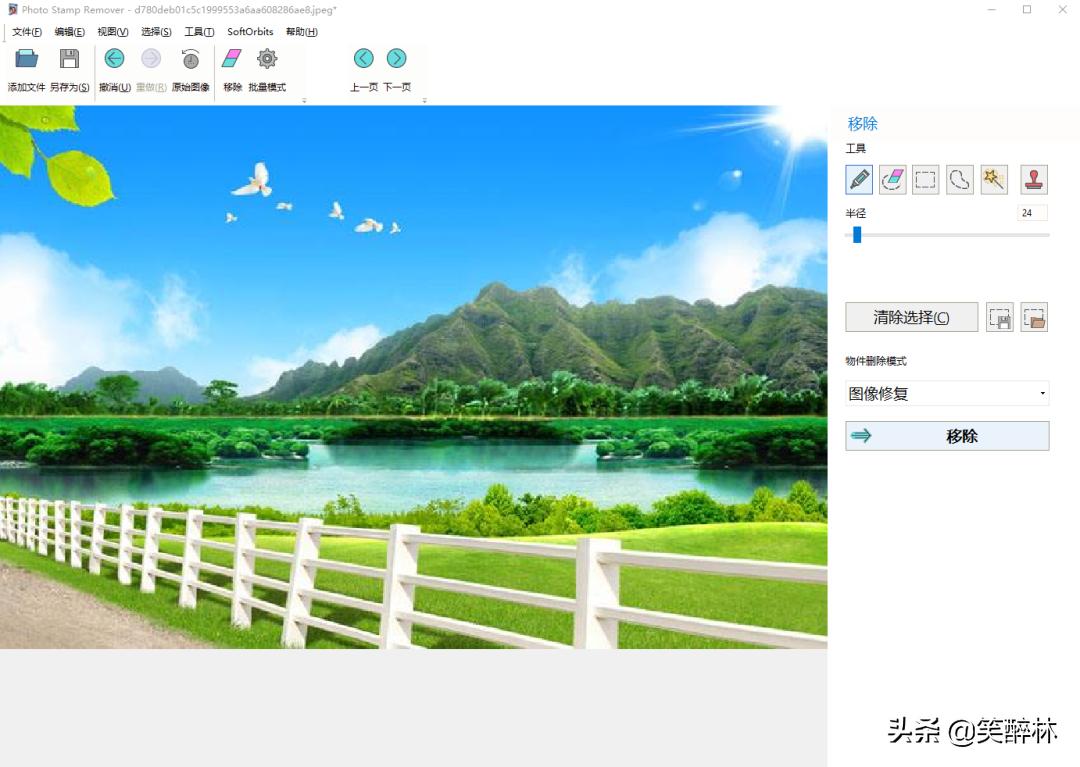 图片一键去水印工具免费网站,图片一键去水印正版免费