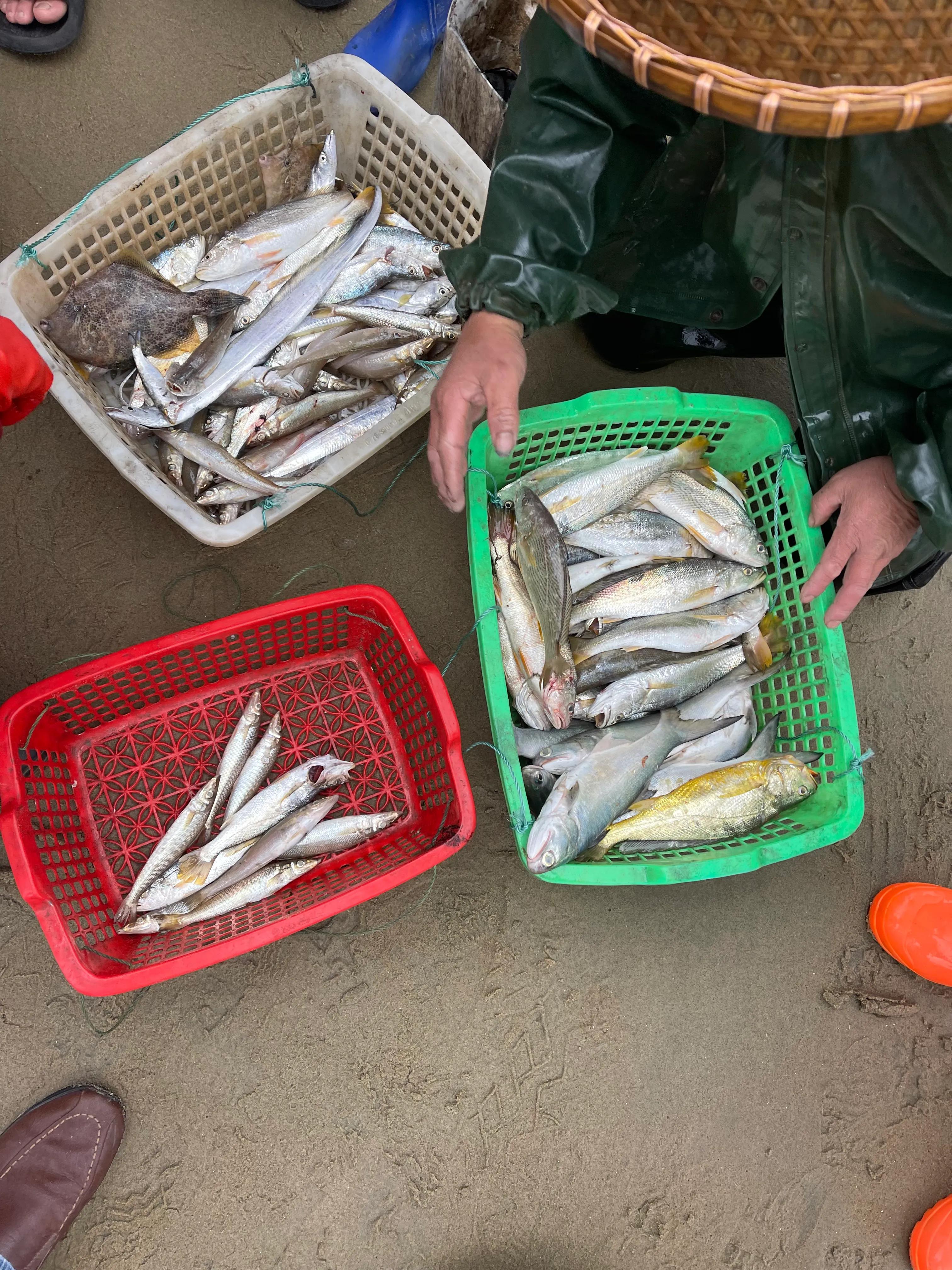 云南旅居养老最好的地方,海南旅居养老基地排前十名