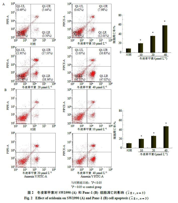 最新发现！冬凌草甲素为胰腺癌的预防提供了新的治疗方法