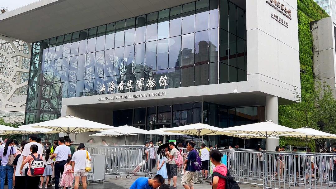 上海自然博物馆隐藏打卡,探秘上海隐秘地