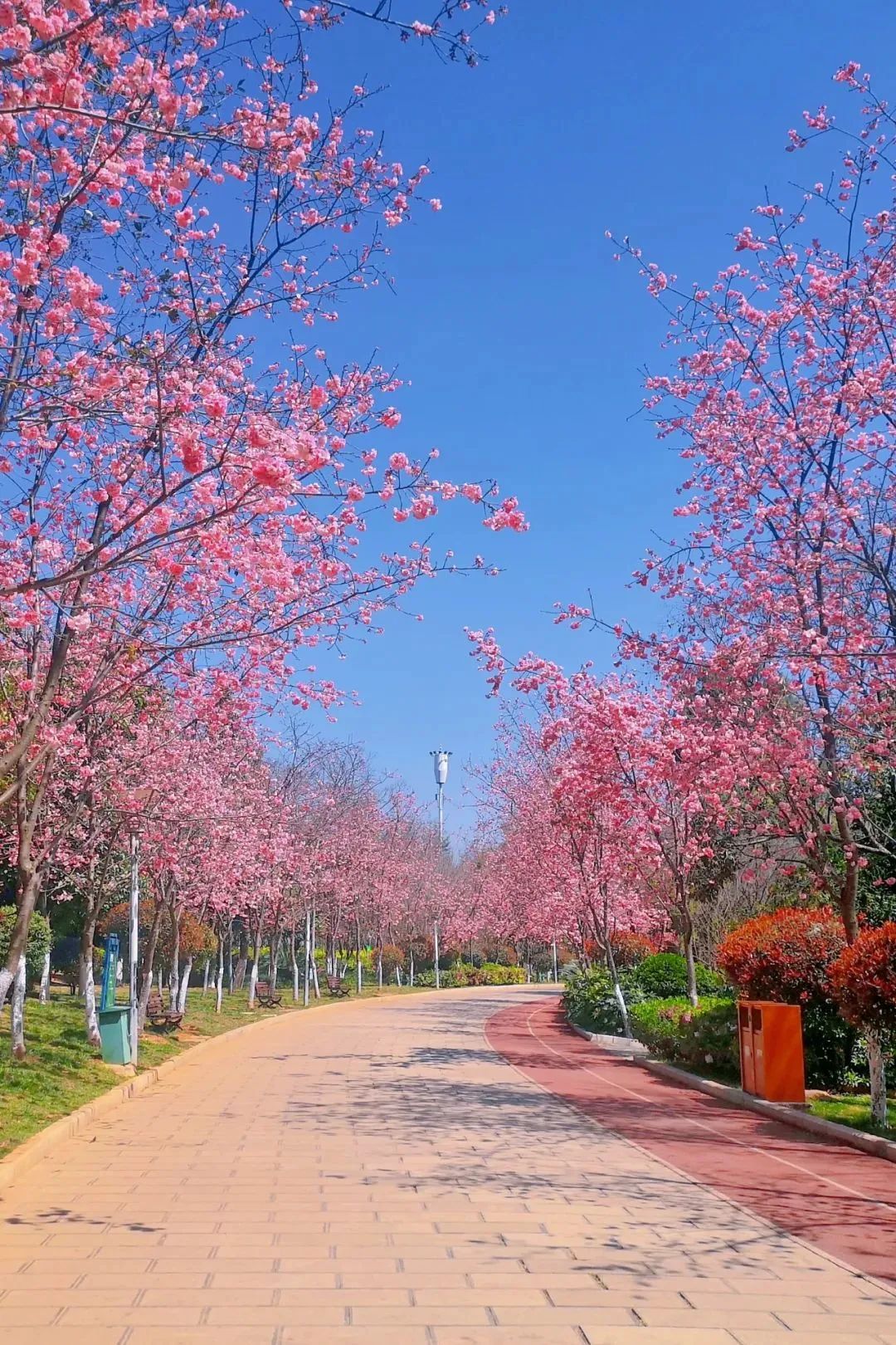 呈贡可以露营的公园,呈贡附近小众的露营地