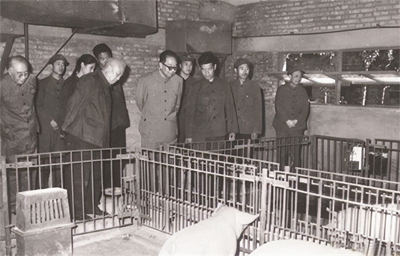 78年，他调任北京市委书记，向*国锋华**抱怨：我在天津屁股还没坐稳