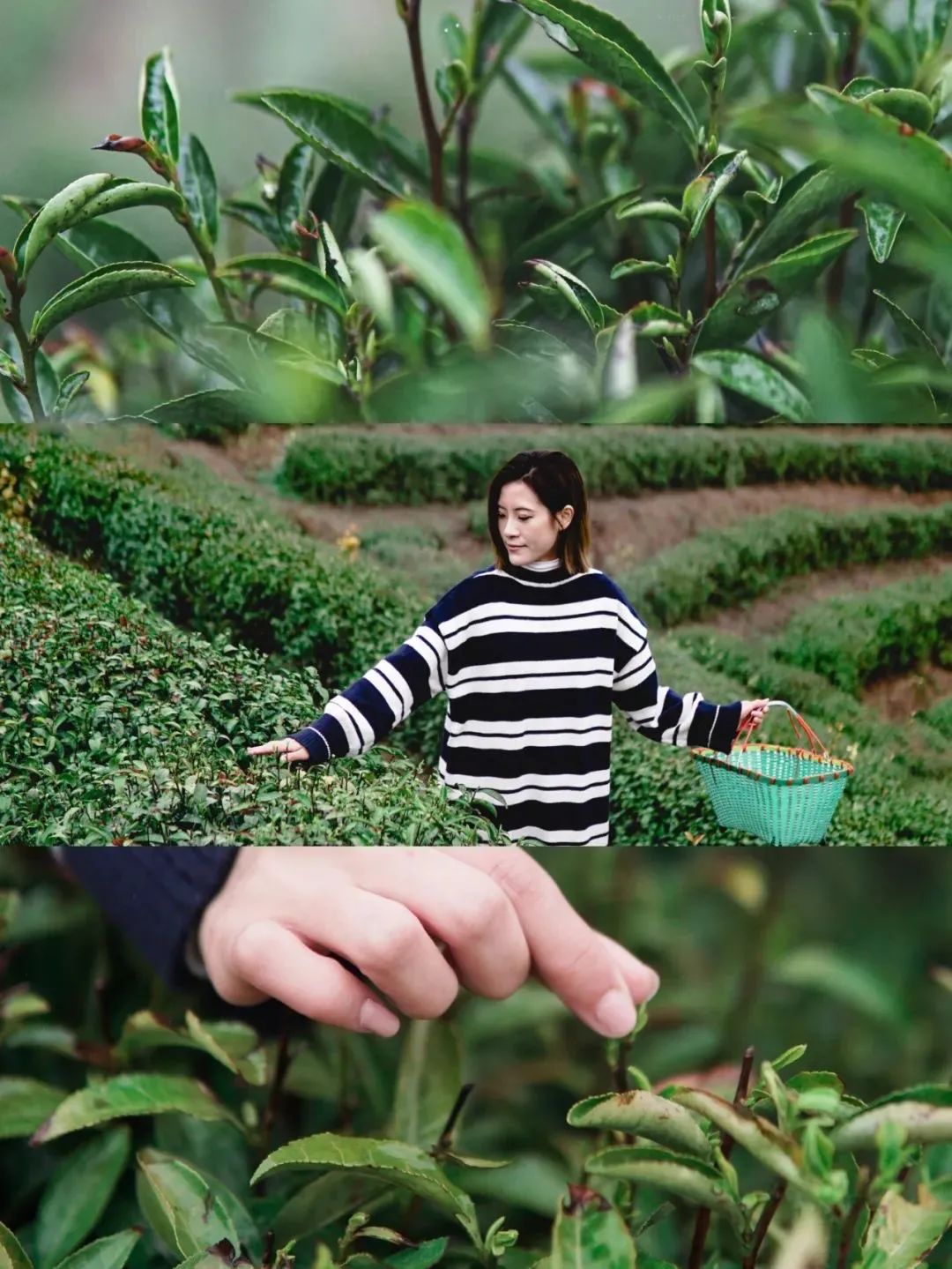 河南黄金周旅游攻略图,光山旅游攻略最佳路线