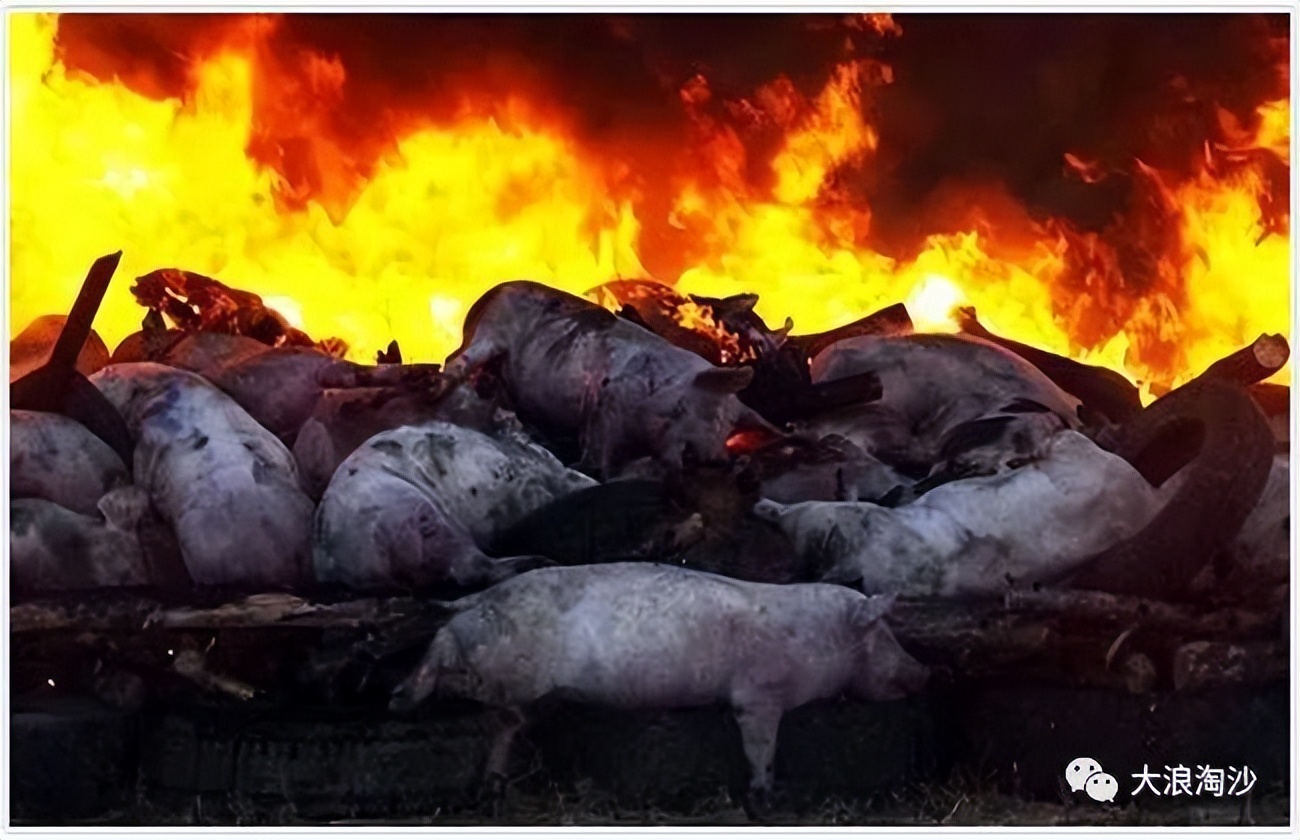 再论“学阀”问题：“杀人”易，“诛心”难