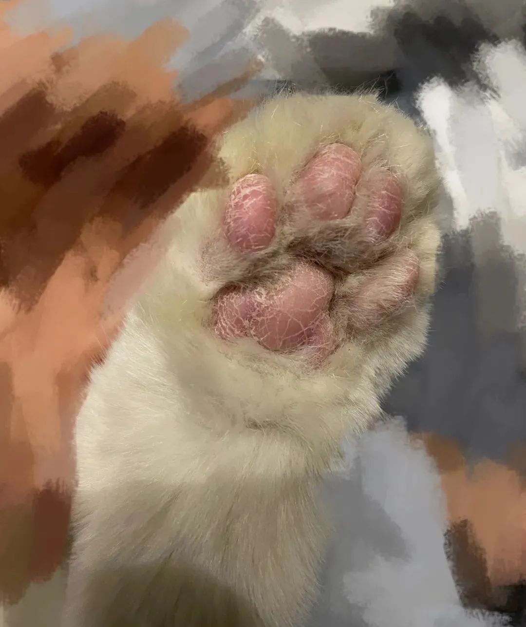 猫咪脚肉垫发黑脱皮干裂,猫咪肉垫烂了脱皮出血怎么办
