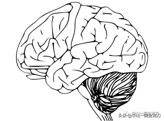 小脑萎缩跟帕金森病一样吗？如何有效地治疗？