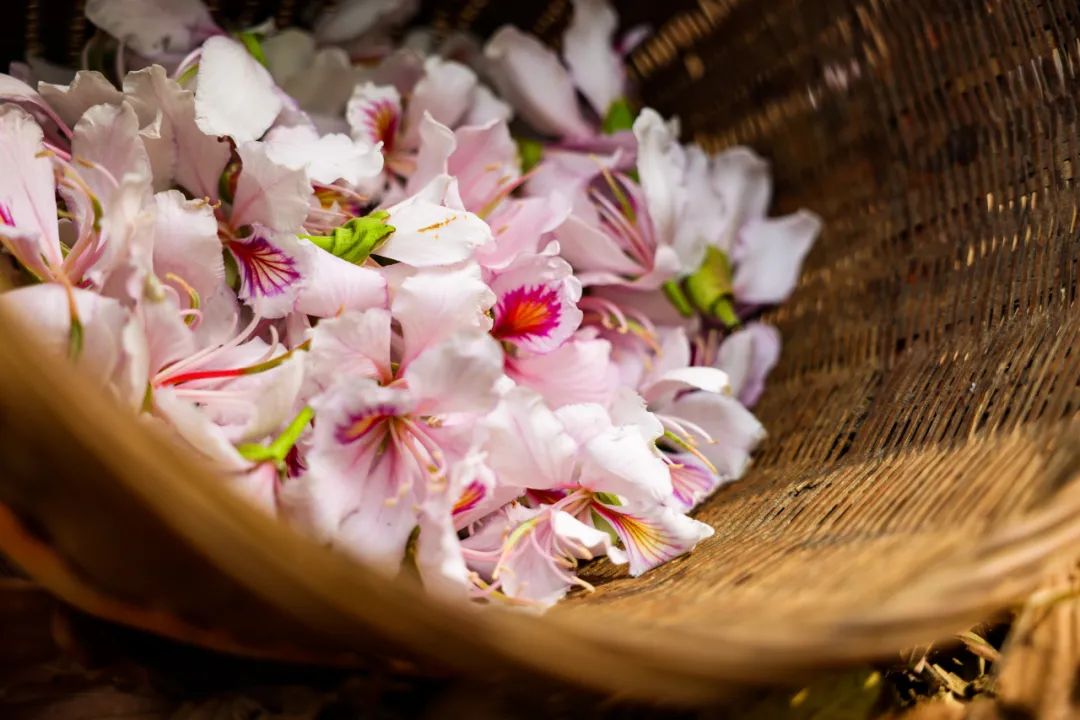 云南玉荷花吃法,云南玉荷花怎么做好吃