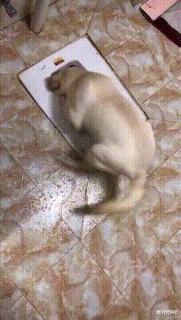 每日一笑闺蜜交了新男朋友,每日一笑之闺蜜交了新男朋友