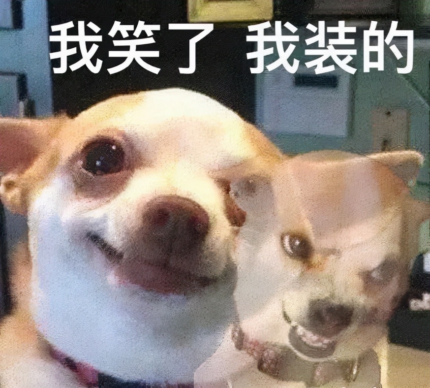 上海学生一身衣服价值127万,上海一学生穿100万衣服真的假的