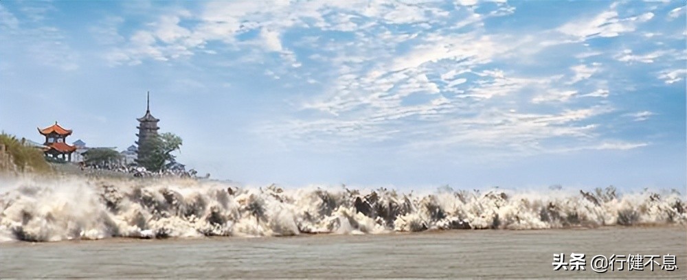 西湖荷花诗句古诗大全,荷花美景的诗句大全