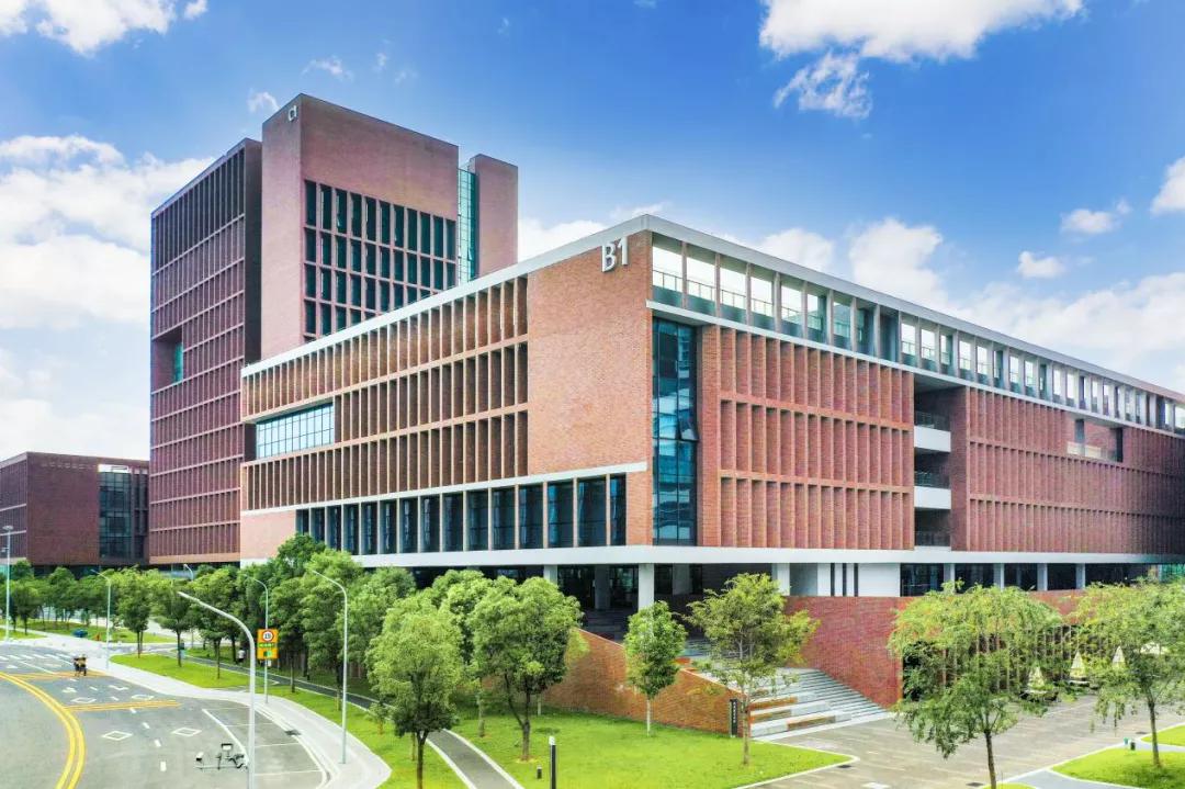 数据科学与大数据管理应用的区别,数据科学与大数据技术是干什么的