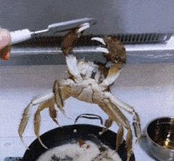 女朋友平胸我该怎么安慰,女朋友平胸该怎么安慰