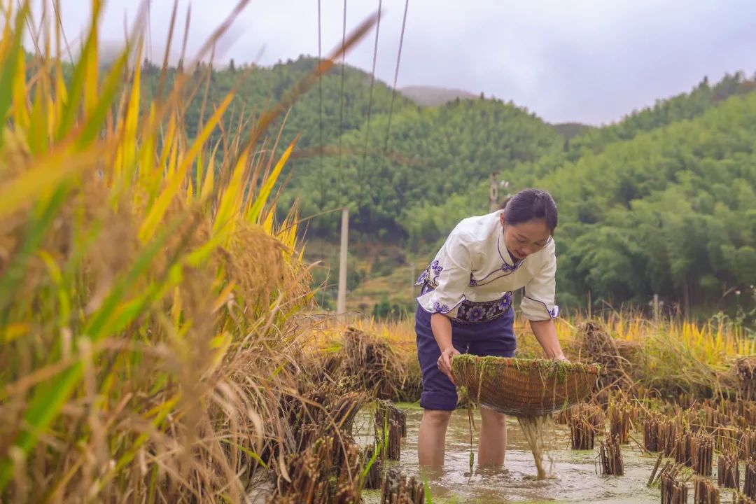 江西有哪些梯田风景区,江西梯田排名前十的梯田