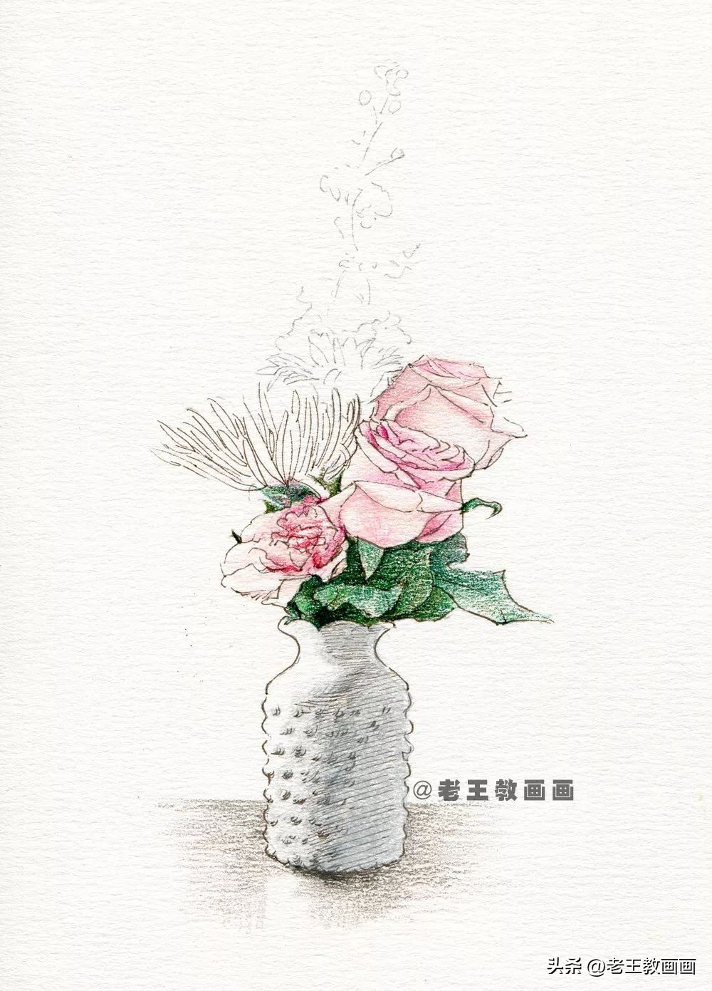 零基础也能学会的彩铅画画,零基础画彩铅画牡丹