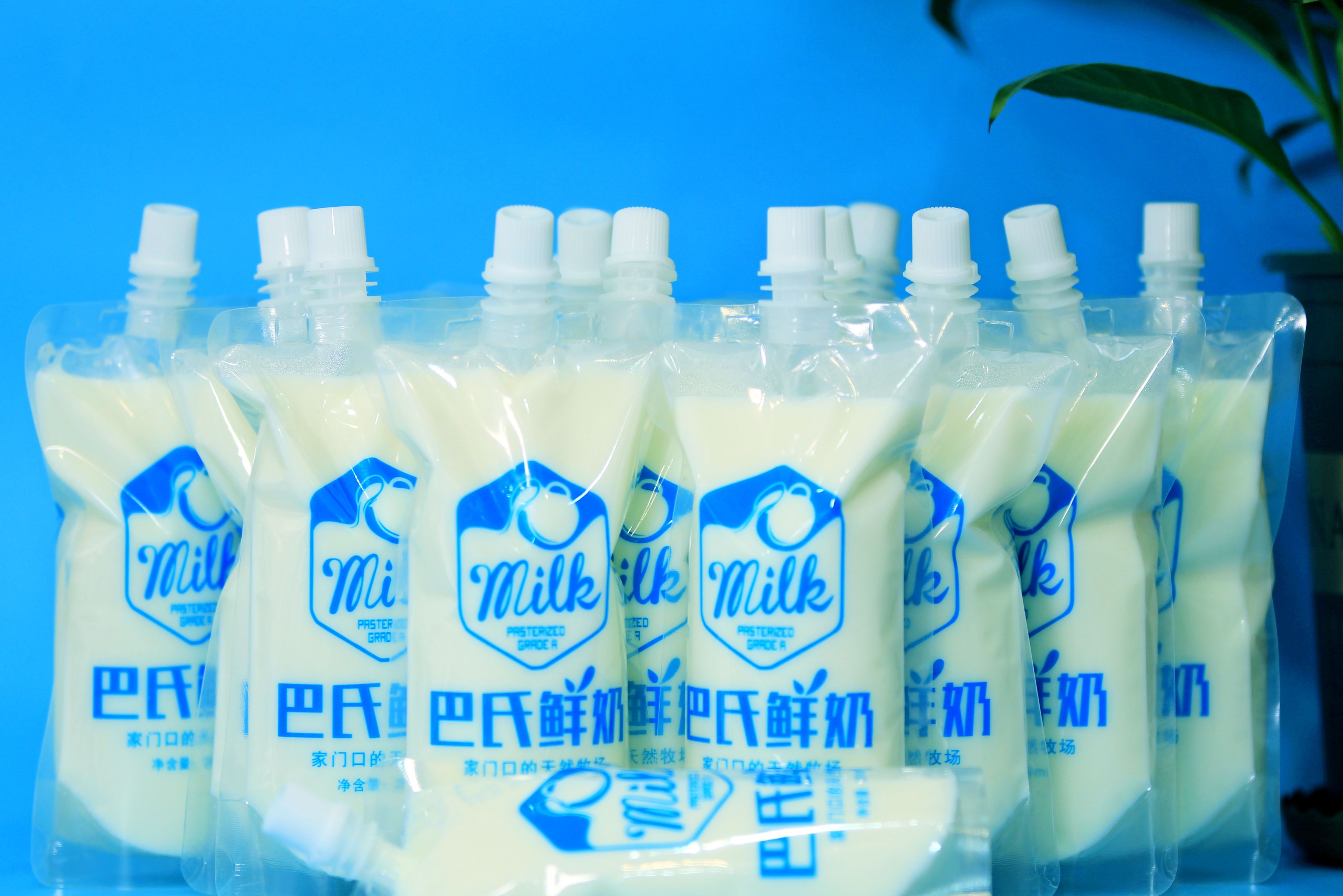 鲜奶吧开在什么地方才挣钱,鲜奶吧加盟店利润分析