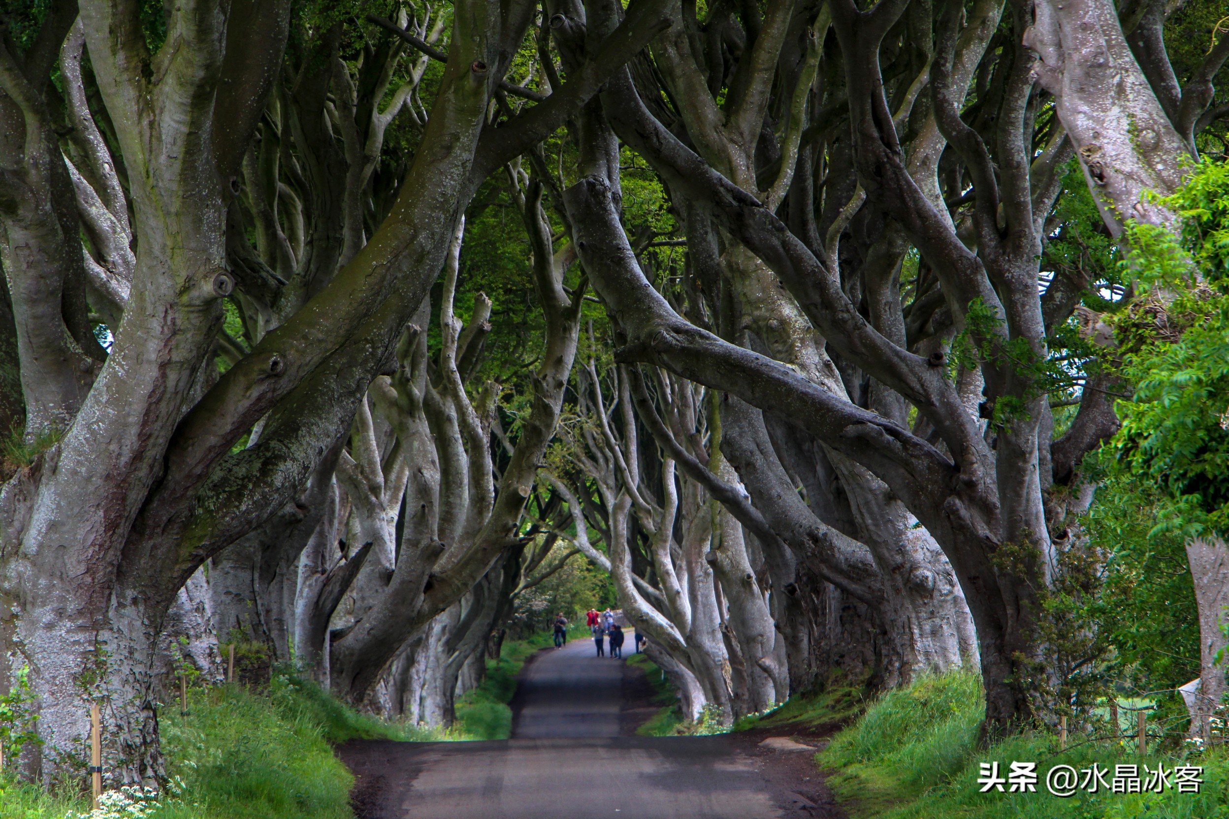 英国行（二）--苏格兰北爱尔兰和爱尔兰