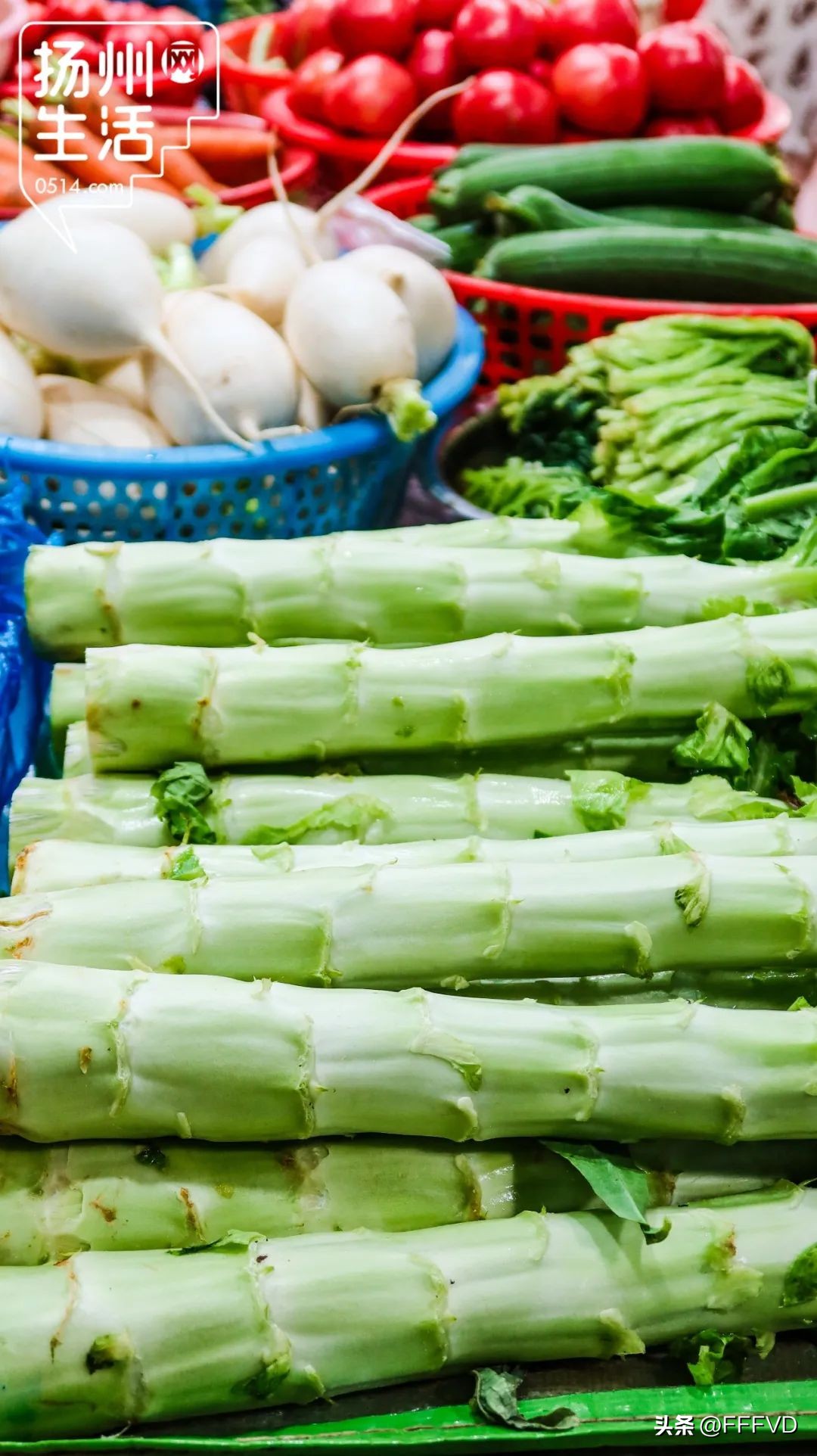 逛扬州菜市场,扬州最有烟火气息的菜场