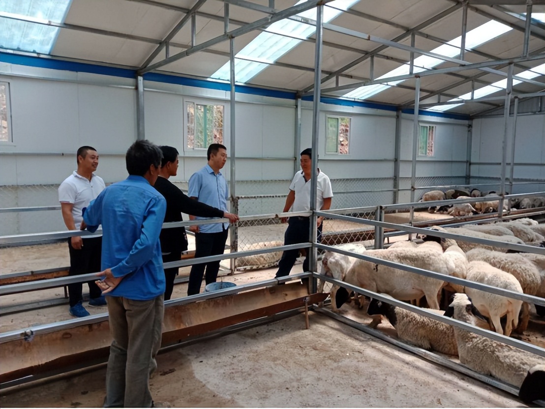 乡村电信建设,电信数字乡村建设思路方案