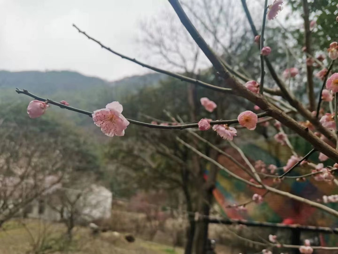 做理财技巧,做好财务的要点