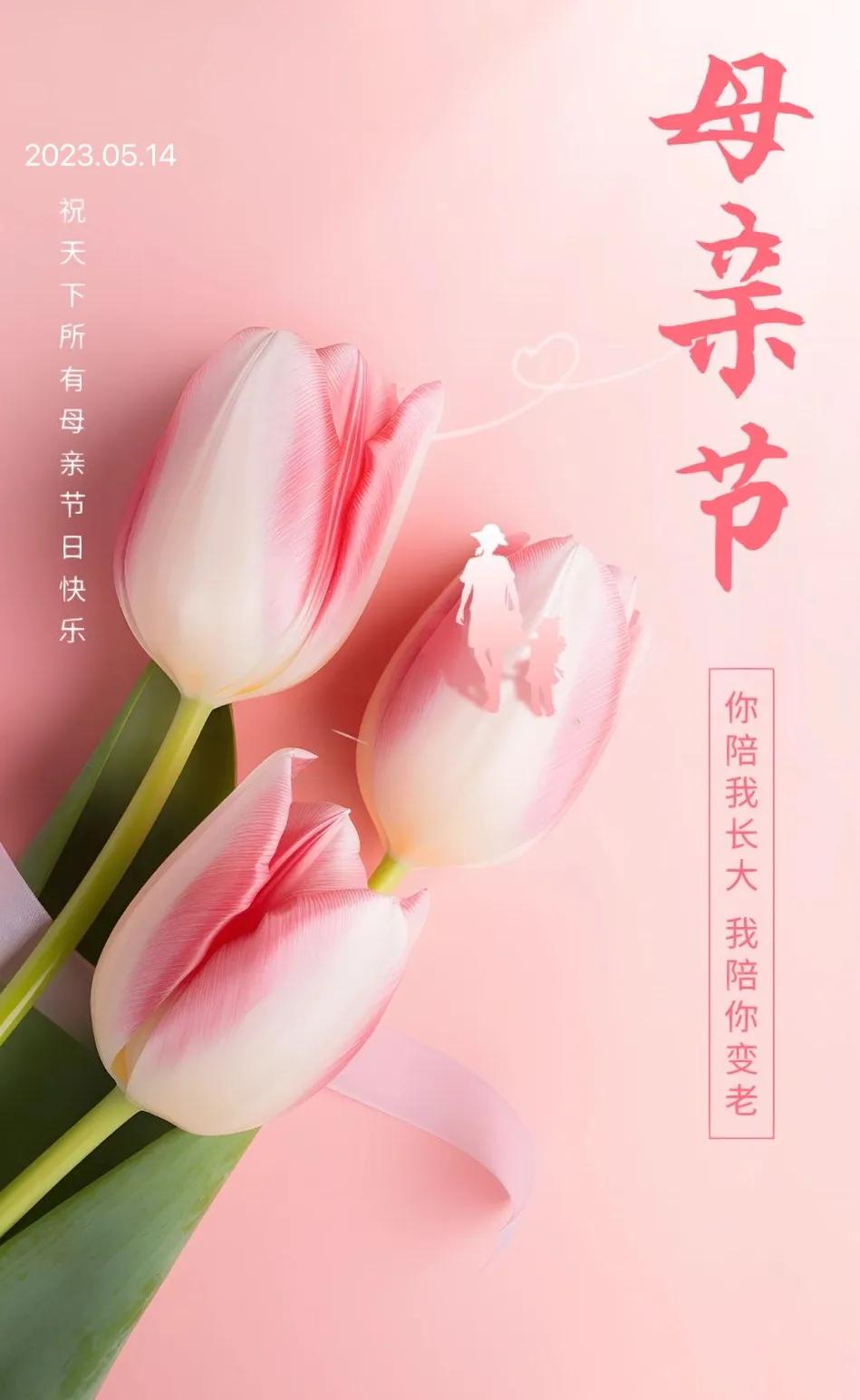 感恩母亲节的精美图片横屏,母亲节快乐的海报图片