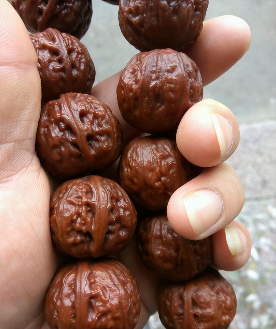 小核桃手串盘了一年,小核桃手串盘起来很油