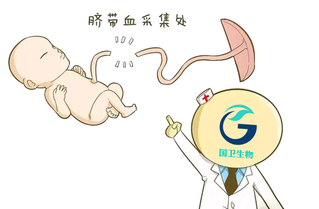脐带血里存在大量的造血干细胞,脐带血冻存10年