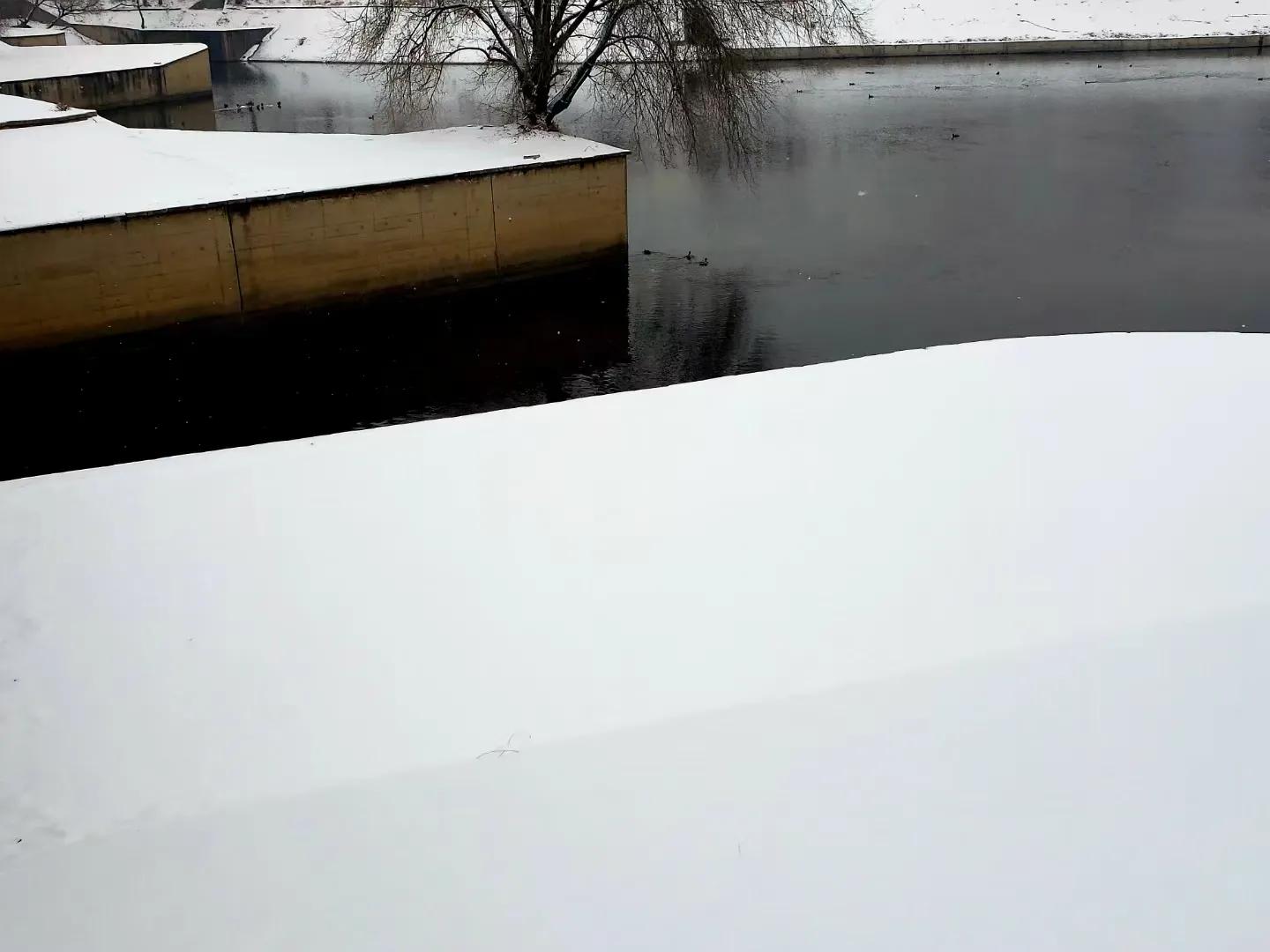 赞抗疫英雄七言律诗,赞抗疫医护诗词